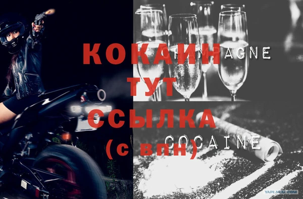 гидра Пролетарск